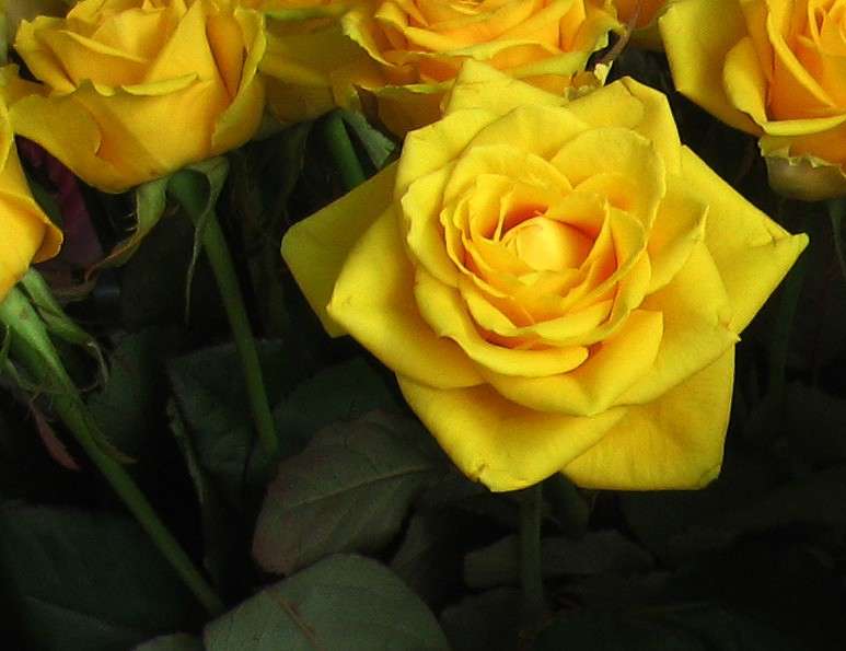 ... ����� Natali  ��������� �� PhotoGeek.ru #����� ��������������