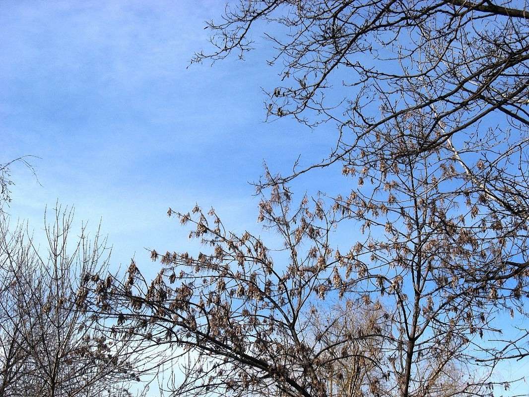 �������� �������... ����� Natali  ��������� �� PhotoGeek.ru #������ ��� ������� #����� ��������������