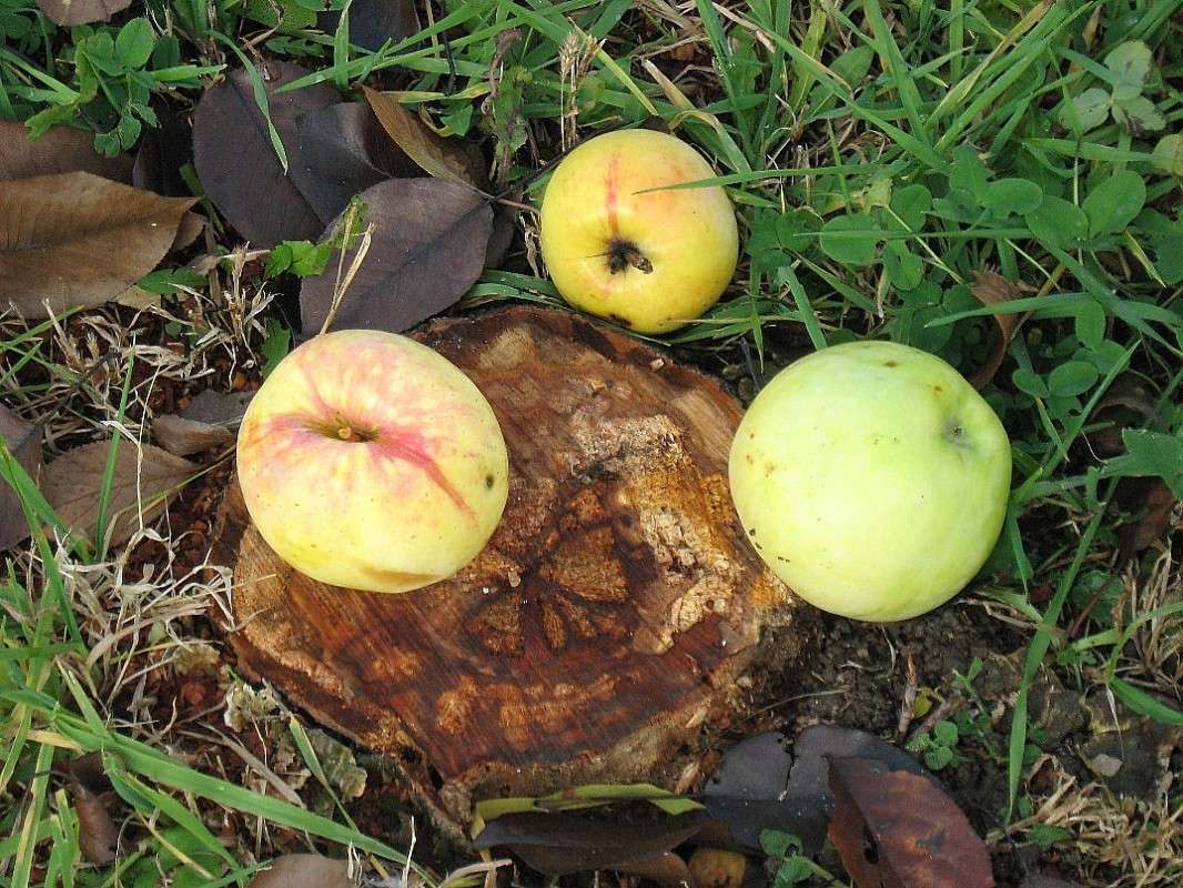 ������������ ������....!?....)) ����� Natali  ��������� �� PhotoGeek.ru #������ ��� ������� #����� ��������������