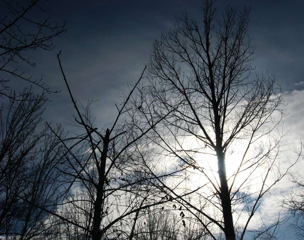 ������ ������...) ����� Natali  ��������� �� PhotoGeek.ru #������ ��� ������� #����� ��������������