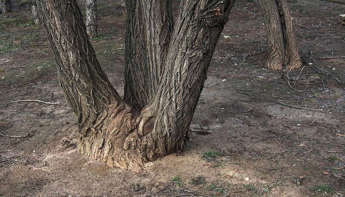 ��������� - ������� ����� Natali  ��������� �� PhotoGeek.ru #������ ��� ������� #����� ��������������