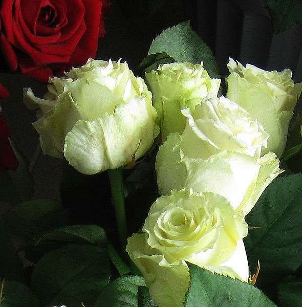 ... ����� Natali  ��������� �� PhotoGeek.ru #����� ��������������