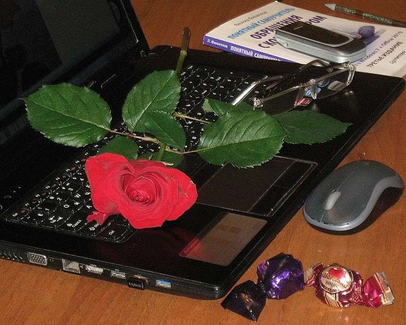 ��� ������ ��������� ��������� ��� �����...) ����� Natali  ��������� �� PhotoGeek.ru #�������� ����������