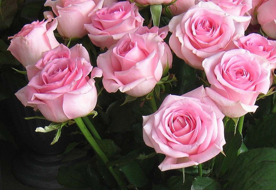 ... ����� Natali  ��������� �� PhotoGeek.ru #������ ��� ������� #����� ��������������