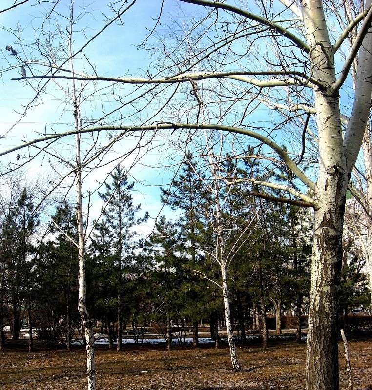 � ��� ����....) ����� Natali  ��������� �� PhotoGeek.ru #������ ��� ������� #����� ��������������