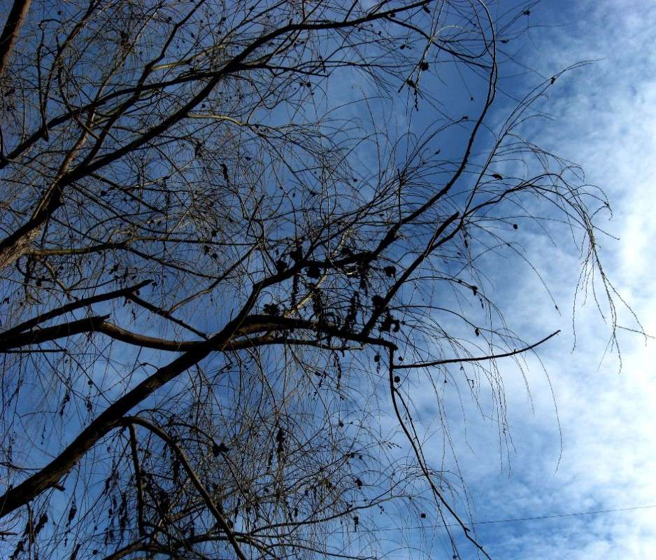 �� ������. ����� Natali  ��������� �� PhotoGeek.ru #������ ��� ������� #����� ��������������