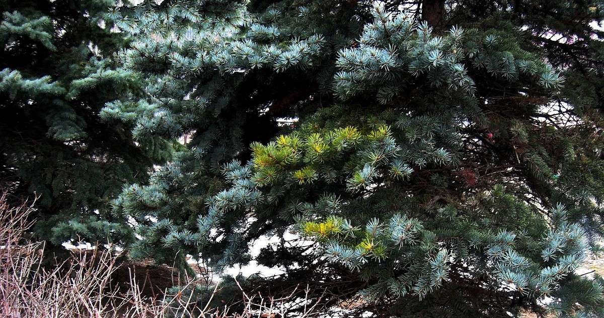 ��������� �����.....) ����� Natali  ��������� �� PhotoGeek.ru #������ ��� ������� #����� ��������������