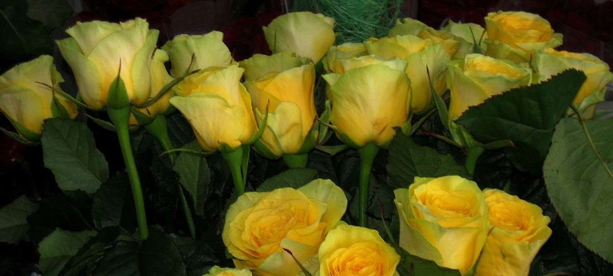 ... ����� Natali  ��������� �� PhotoGeek.ru #����� ��������������