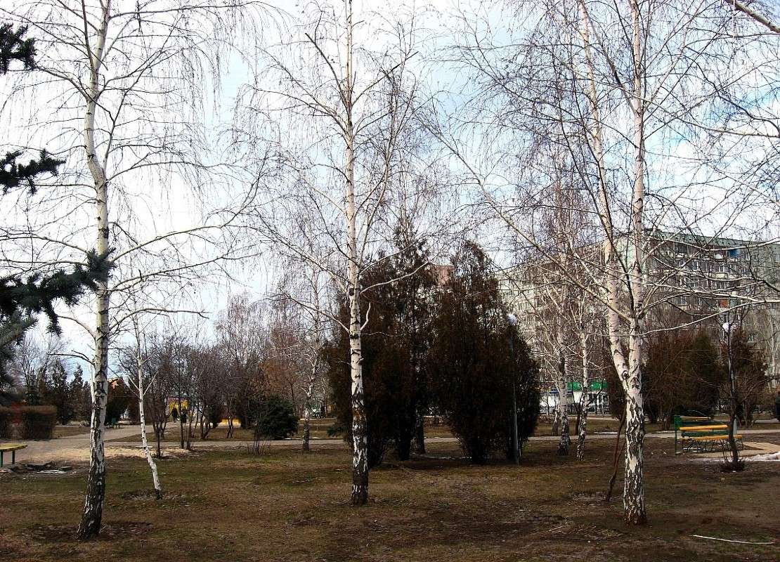 �����. �����. ������ � ������. ����� Natali  ��������� �� PhotoGeek.ru #����� #������ ��� ������� #��������� ������