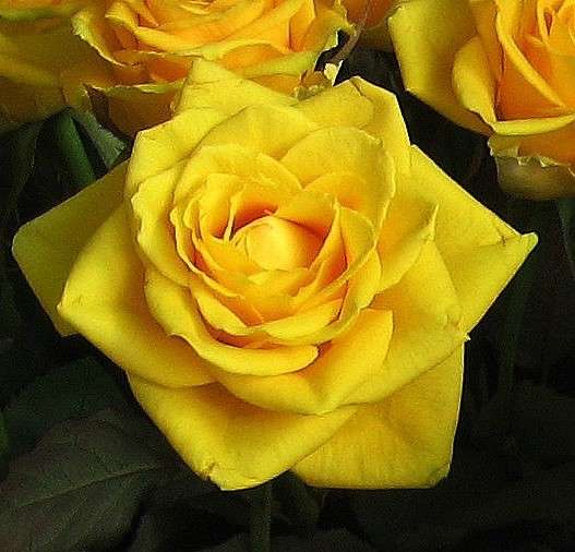 ... ����� Natali  ��������� �� PhotoGeek.ru #������ ��� ������� #����� ��������������