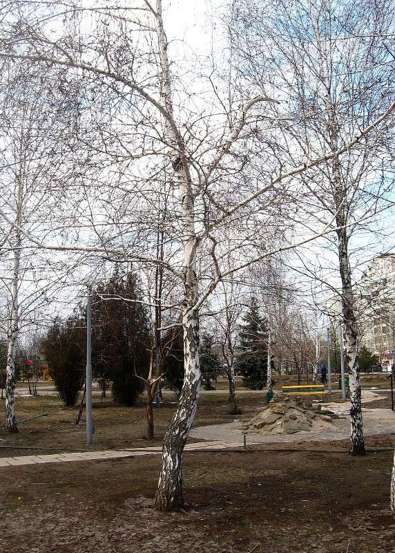 �����. �������. ������. ����� Natali  ��������� �� PhotoGeek.ru #����� #������ ��� ������� #��������� ������