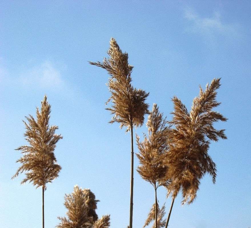 ... ����� Natali  ��������� �� PhotoGeek.ru #������ ��� ������� #����� ��������������