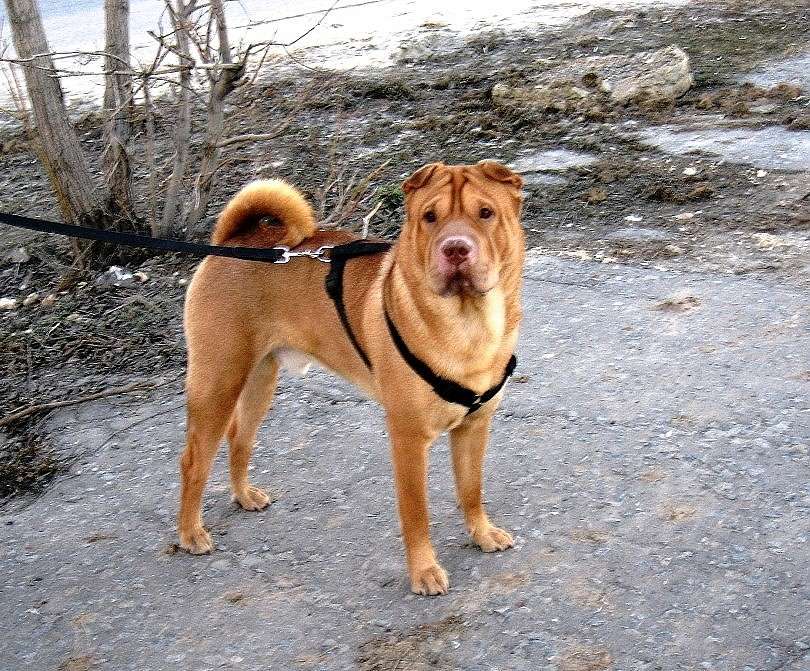 ������ - ������� ������.....) ����� Natali  ��������� �� PhotoGeek.ru #�������� ���