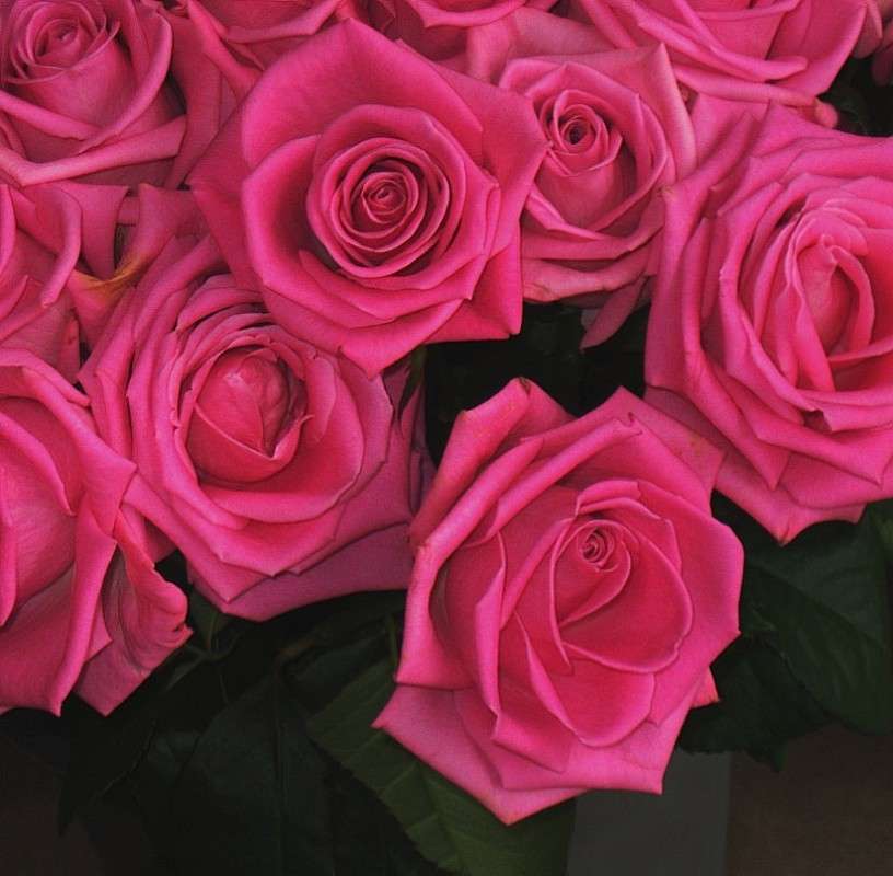 ... ����� Natali  ��������� �� PhotoGeek.ru #����� ��������������