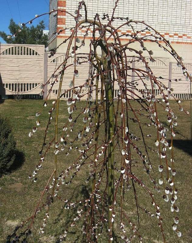 �������-�� ������� � � ��� .... ����� Natali  ��������� �� PhotoGeek.ru #������ ��� ������� #����� ��������������