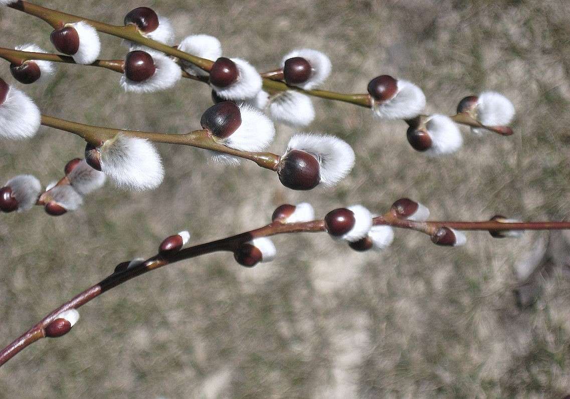 ... ����� Natali  ��������� �� PhotoGeek.ru #������ ��� ������� #����� ��������������