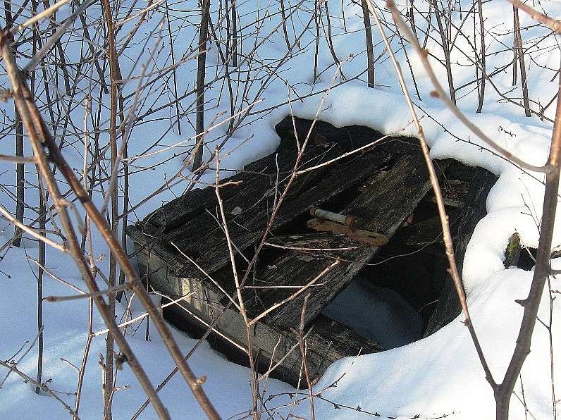 ����������� ������� ����� Natali  ��������� �� PhotoGeek.ru #������ ��� ������� #����� ��������