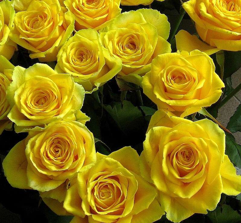 ... ����� Natali  ��������� �� PhotoGeek.ru #����� ��������������