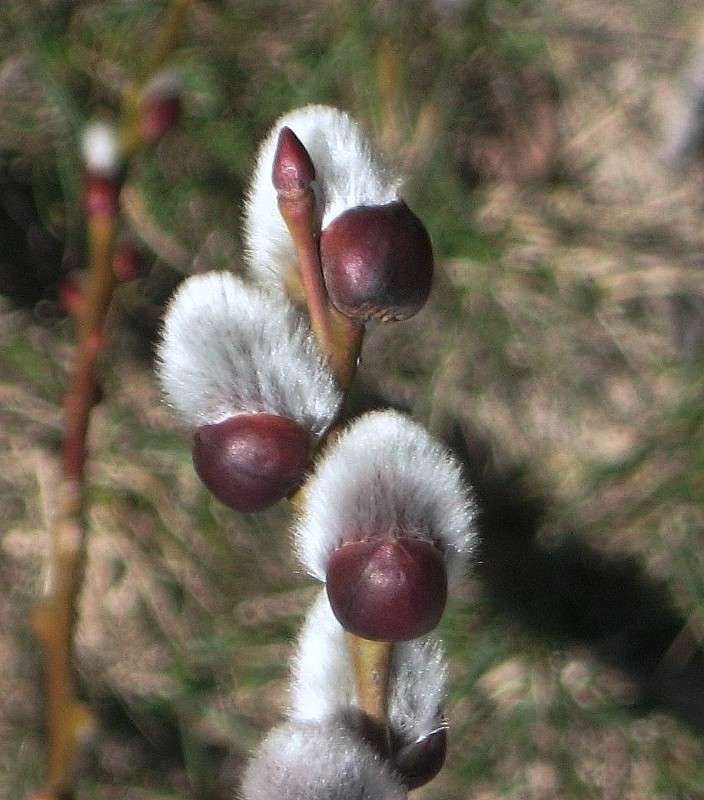 ... ����� Natali  ��������� �� PhotoGeek.ru #������ ��� ������� #����� ��������������