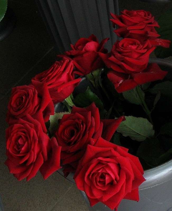 ... ����� Natali  ��������� �� PhotoGeek.ru #����� ��������������