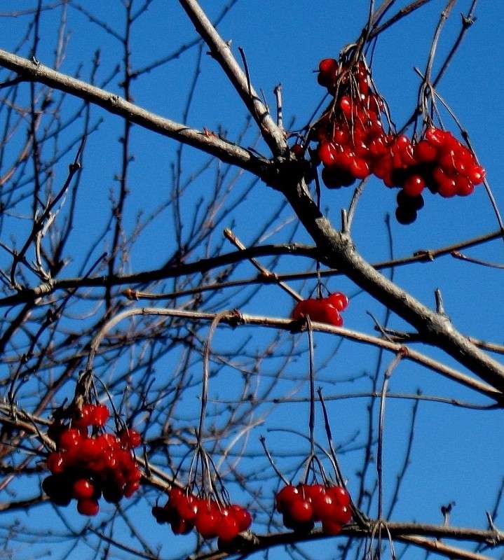 ��� ���� ������������... ����� Natali  ��������� �� PhotoGeek.ru #������ ��� ������� #����� ��������������