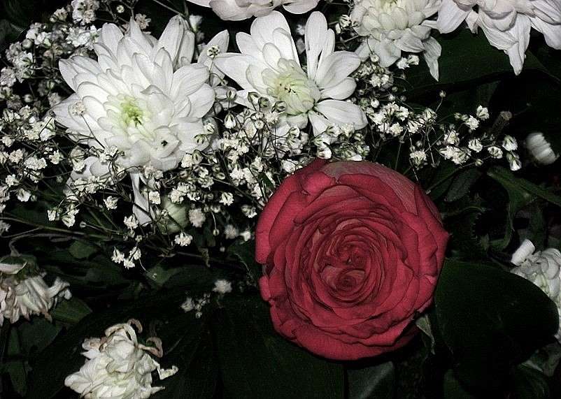 ��������..))) ����� Natali  ��������� �� PhotoGeek.ru #����� ��������������