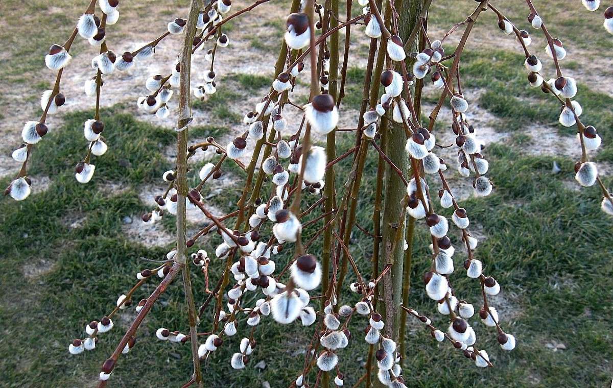 ��������...) ����� Natali  ��������� �� PhotoGeek.ru #������ ��� ������� #����� ��������������