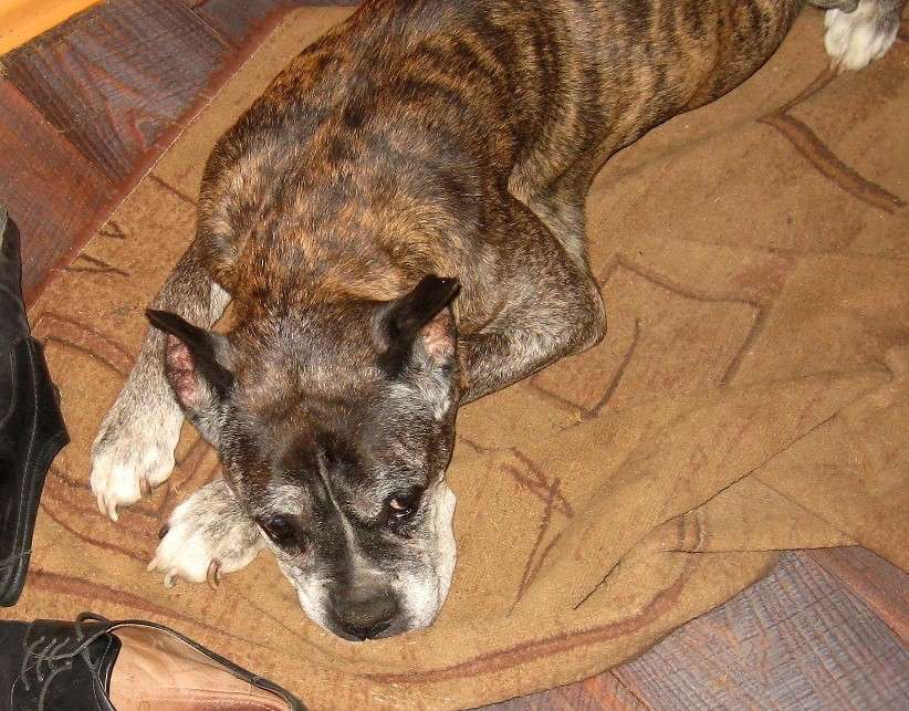 ����� ������ ������... ����� Natali  ��������� �� PhotoGeek.ru #�������� ���