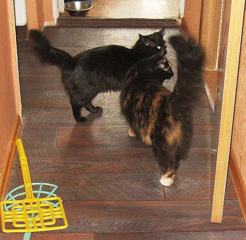 ������ �������, ��, � ��� ������ �����... ? ) ����� Natali  ��������� �� PhotoGeek.ru #�������� ��� #�������� ����������