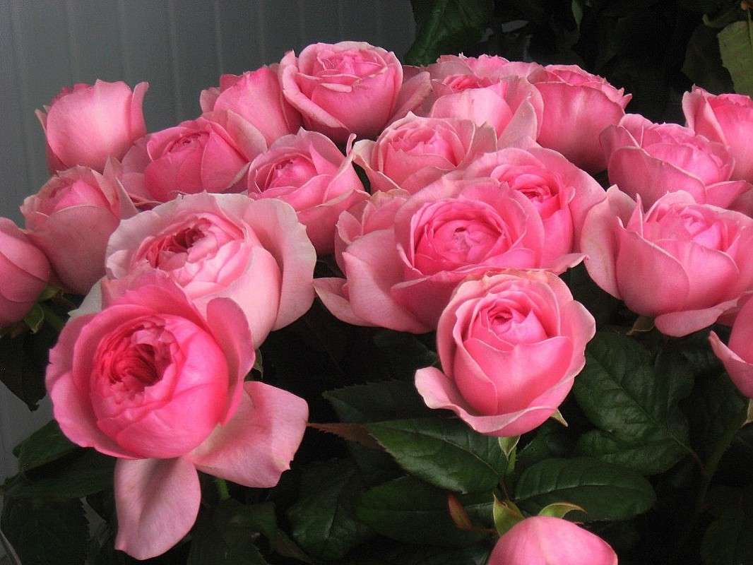 ... ����� Natali  ��������� �� PhotoGeek.ru #����� ��������������