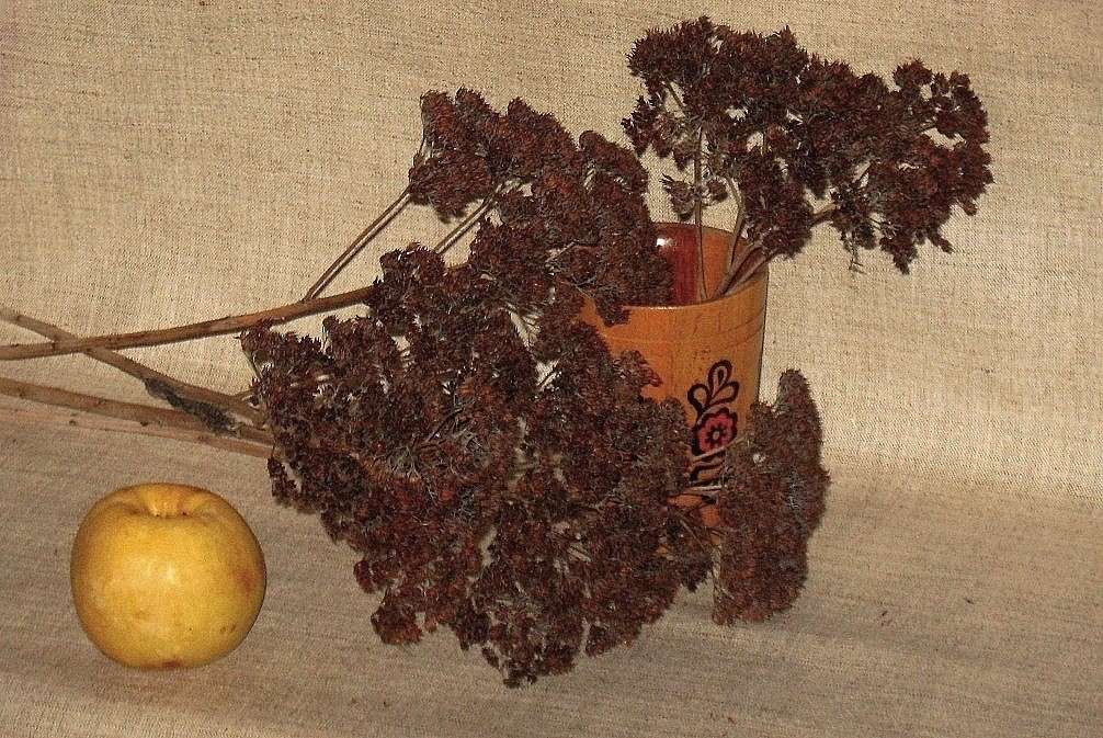 ... ����� Natali  ��������� �� PhotoGeek.ru #�������� ����������