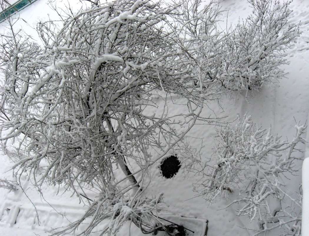 ��������� 30 ����� 2014 �. ����� Natali  ��������� �� PhotoGeek.ru #����� #������ ��� ������� #����� �������������� #����� ��������