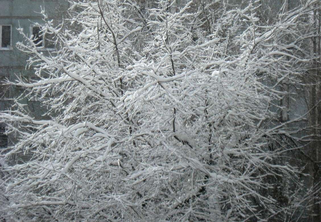 ��������� 30 ����� 2014 �.....3 ����� Natali  ��������� �� PhotoGeek.ru #����� #������ ��� ������� #����� �������������� #����� ��������