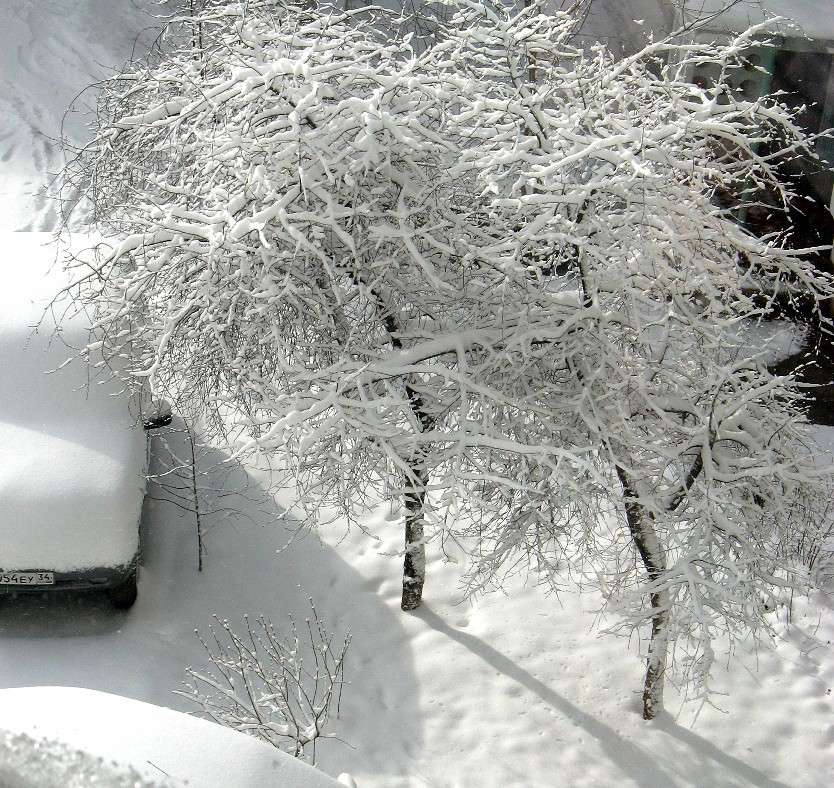 ��������� 30 ����� 2014 �......2 ����� Natali  ��������� �� PhotoGeek.ru #����� #������ ��� ������� #����� �������������� #����� ��������