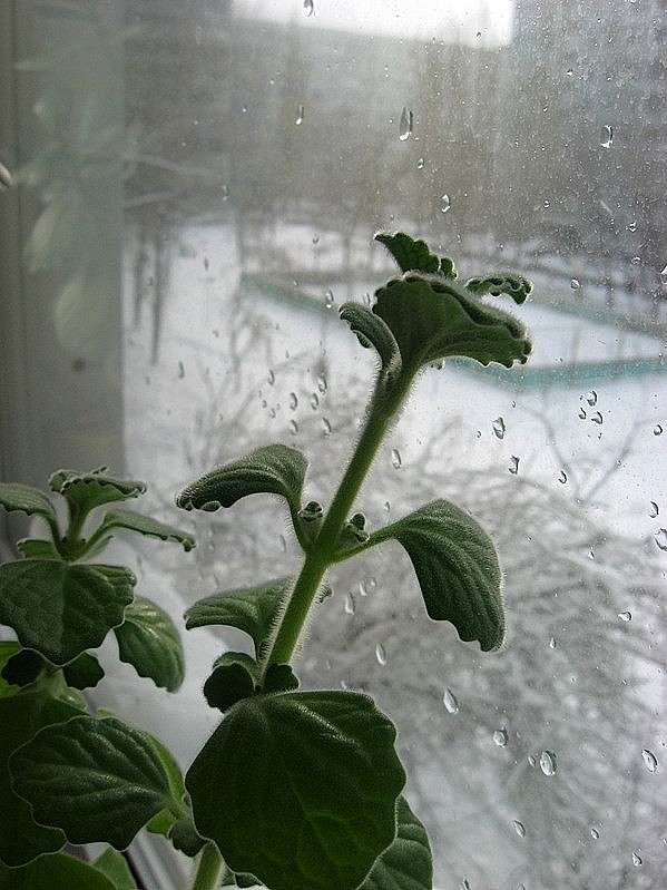 �� ���� � �� �����.  30 ����� 2014 � ����� Natali  ��������� �� PhotoGeek.ru #������ ��� ������� #�������� ���������� #����� ��������������