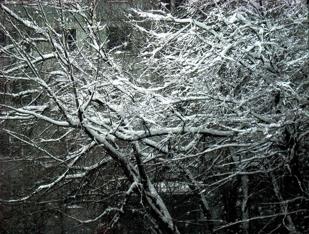 � ���� ���....��������� 30.03.2014. ����� Natali  ��������� �� PhotoGeek.ru #������ ��� ������� #����� �������������� #����� ��������