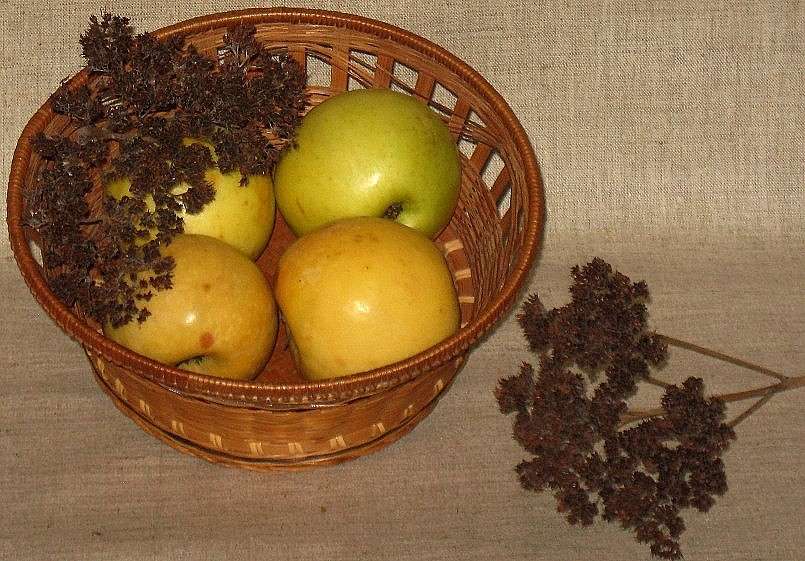 ���������� ����. ����� Natali  ��������� �� PhotoGeek.ru #�������� ����������