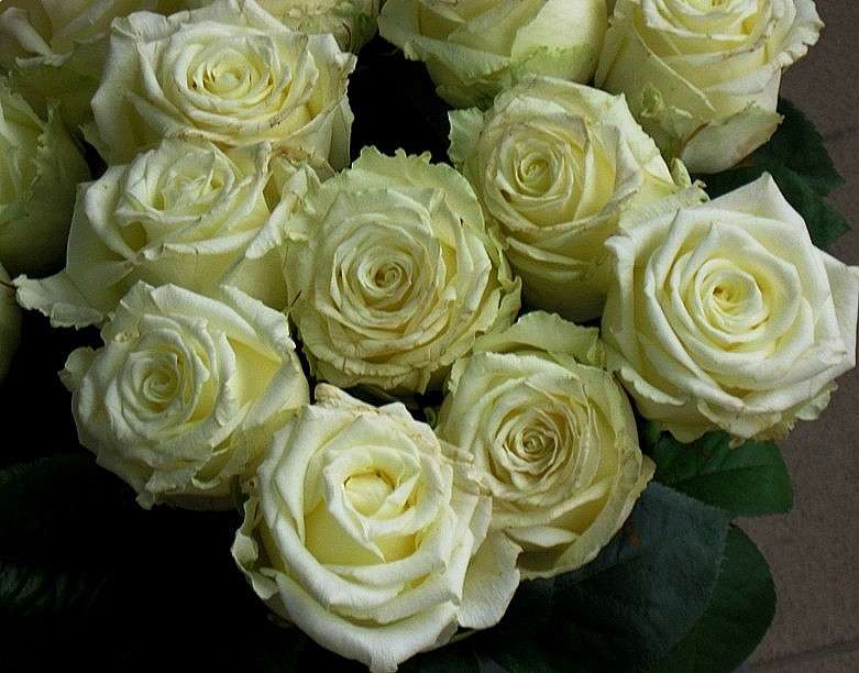 ... ����� Natali  ��������� �� PhotoGeek.ru #����� ��������������