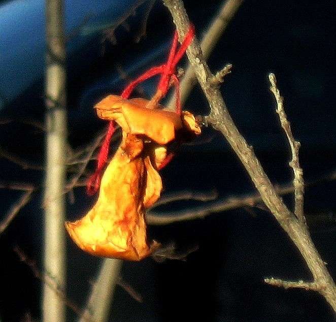 � 1 ������ !!! ����� Natali  ��������� �� PhotoGeek.ru #�������� ����������