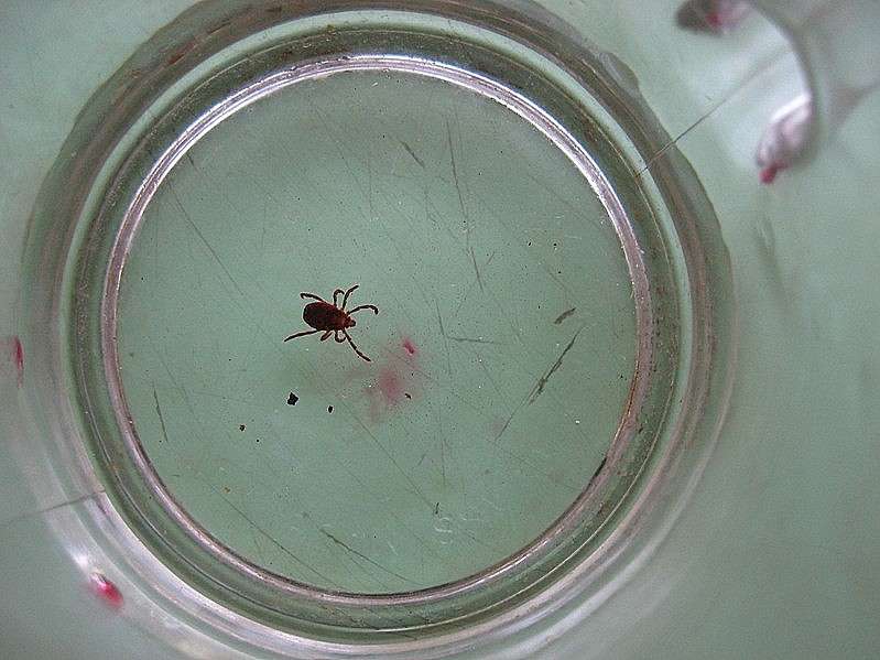 � 1 ������ !...) ����� Natali  ��������� �� PhotoGeek.ru #�������� ����������