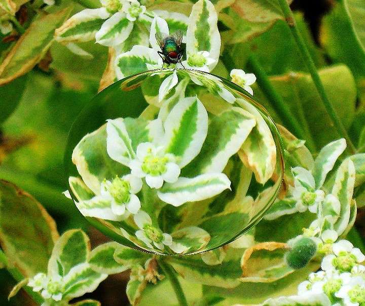 � 1 ������ !.....) ����� Natali  ��������� �� PhotoGeek.ru #�������� ����������