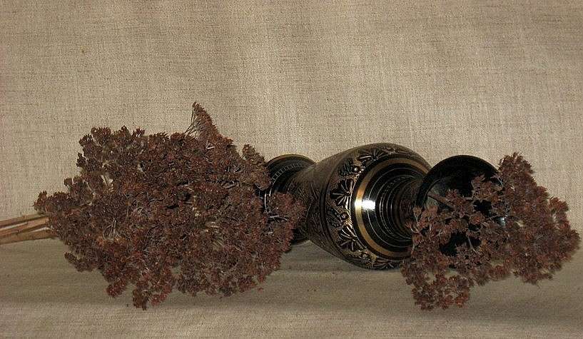 different, but together ����� Natali  ��������� �� PhotoGeek.ru #�������� ����������