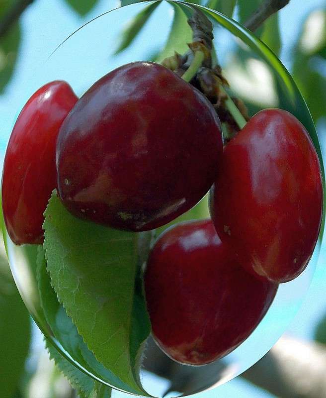 ���� ������ �� ���������... ))) ����� Natali  ��������� �� PhotoGeek.ru #�������� ����������