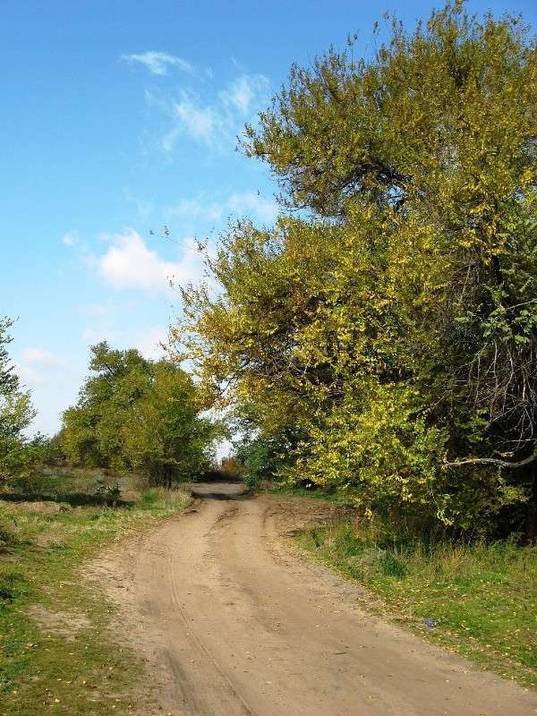 ��, ������.... ����� Natali  ��������� �� PhotoGeek.ru #������ ��� ������� #����� ��������������