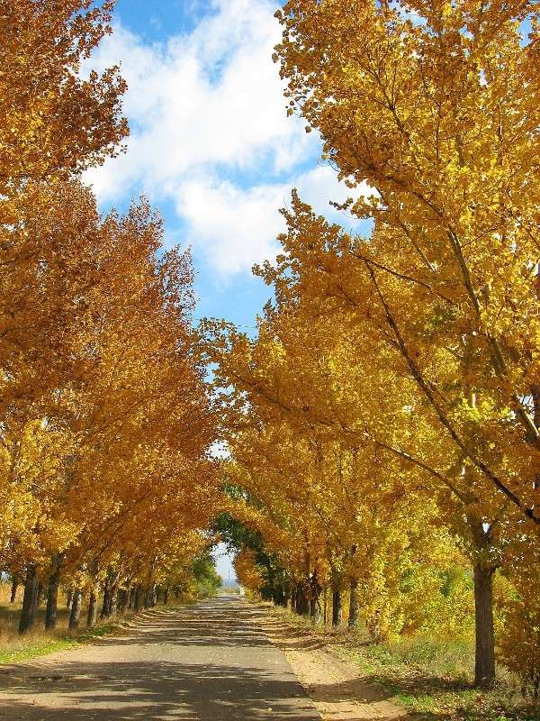 ��������� ����� ����� Natali  ��������� �� PhotoGeek.ru #������ ��� ������� #����� ��������������