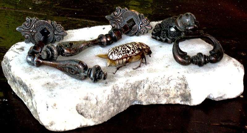 ��, ��� ���� ��� ����� �� ����....))) ����� Natali  ��������� �� PhotoGeek.ru #�������� ����������