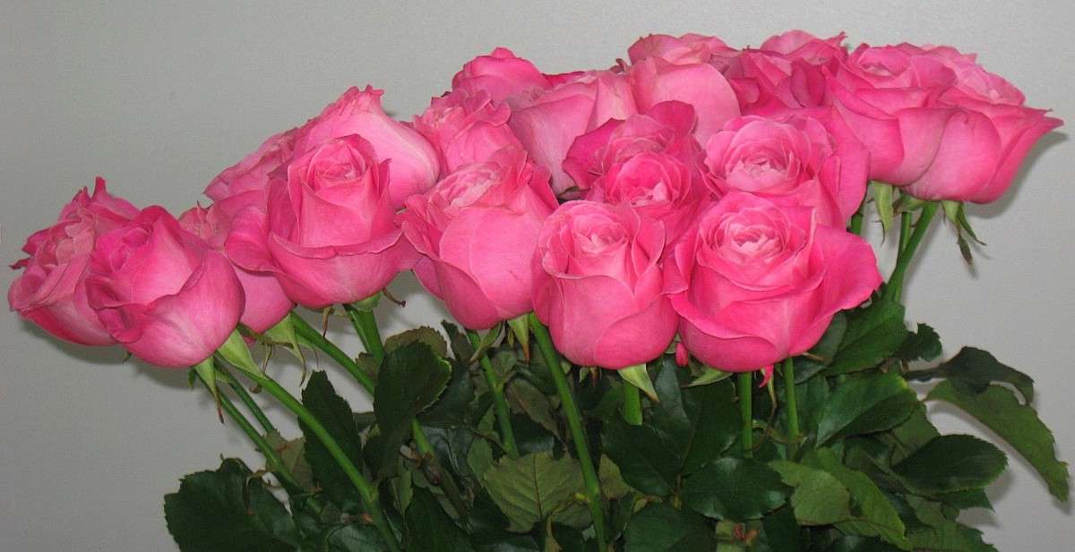 ... ����� Natali  ��������� �� PhotoGeek.ru #����� ��������������