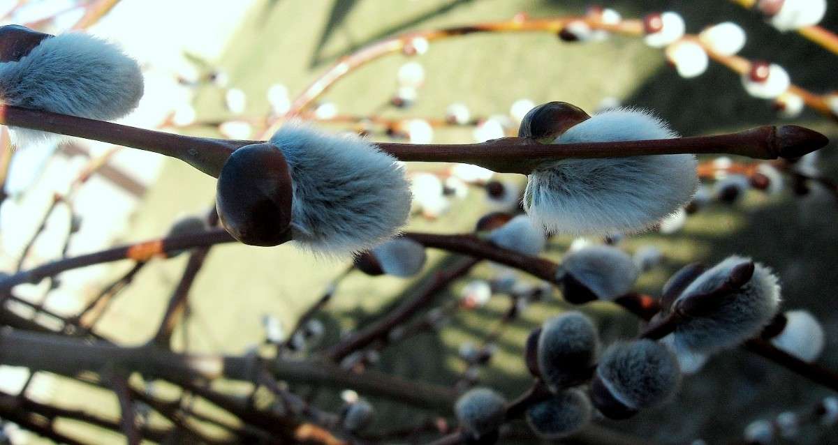 ��� ��� ��� �����... ����� Natali  ��������� �� PhotoGeek.ru #������ ��� ������� #����� ��������������