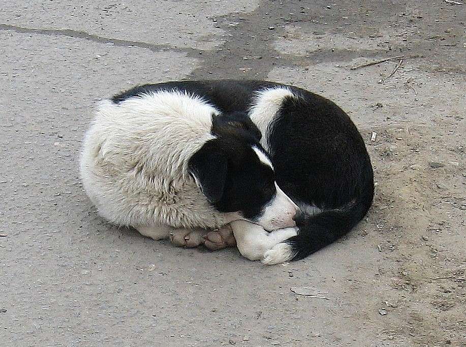 �������.... ����� Natali  ��������� �� PhotoGeek.ru #�������� ���