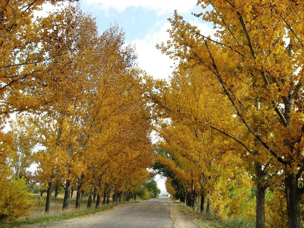 �������... ����� Natali  ��������� �� PhotoGeek.ru #������ ��� ������� #����� ��������������